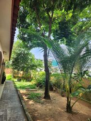 Kampong Sireh (D19), Detached #576824321